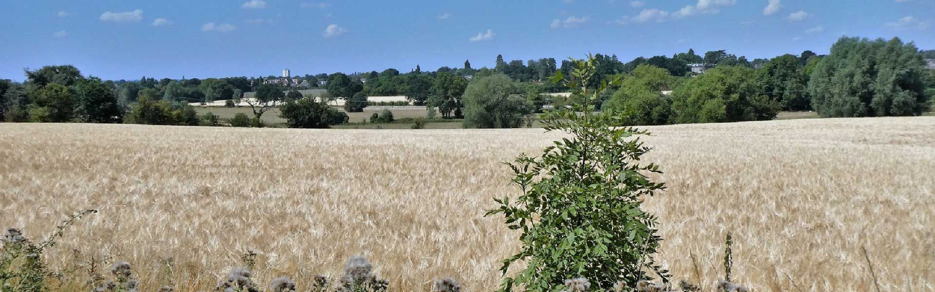 Across the Valley. Credit: Steve Barrett