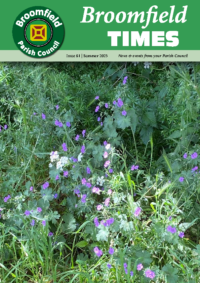 Issue 81 – Summer 2025